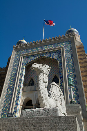 Kneeling Camel at Tripoli Shrine Center - Chapter 103