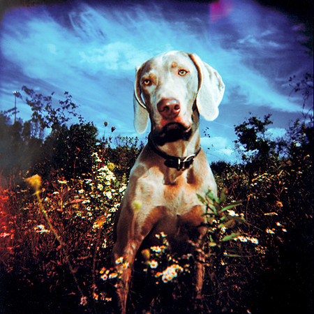 Holga, Lomography, Cross-Process Film