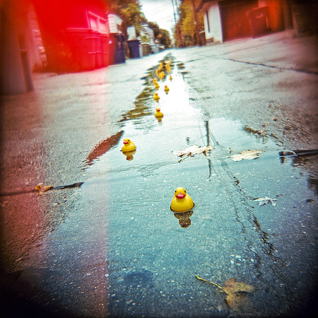 rubber ducks, alley, rainy day, light leaks, lomography, Holga, 120 film